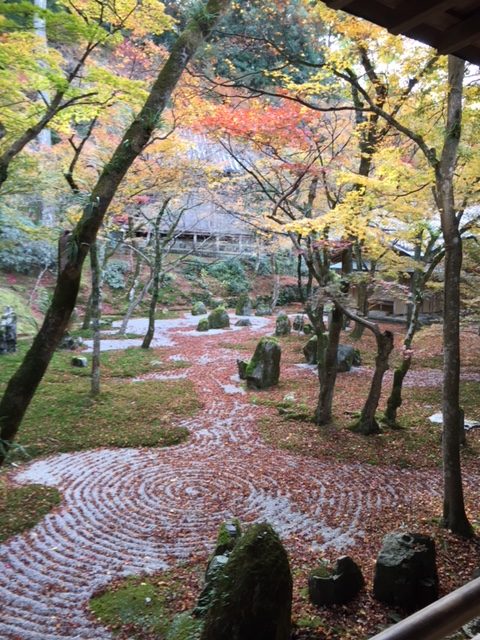紅葉の庭